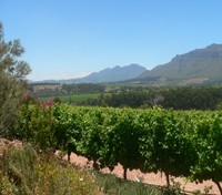 Winelands Winelands